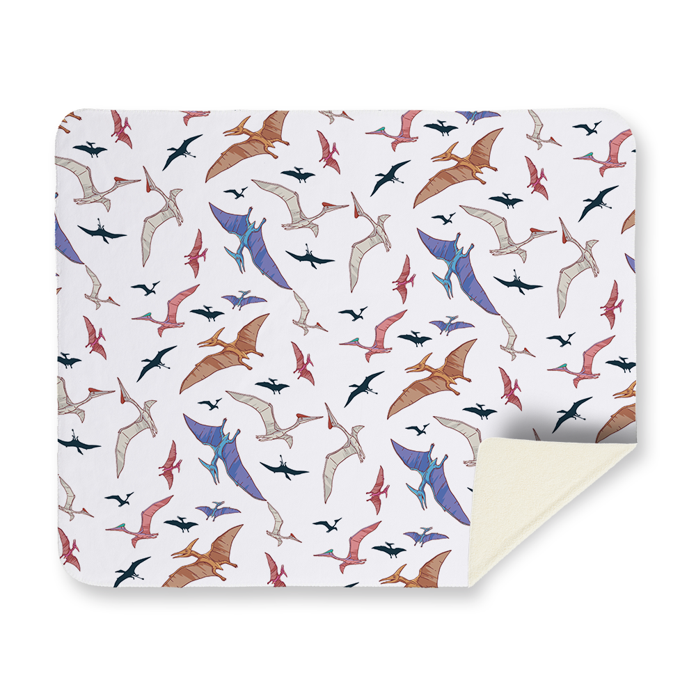 flying-dinosaur-pattern-blanket-sherpa-landscape.png