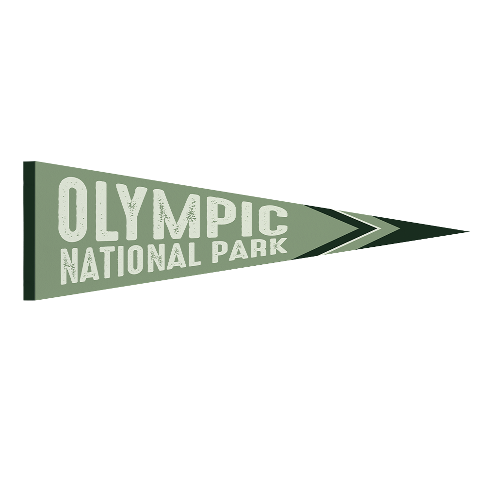 olympic-national-park-v1-design-theme