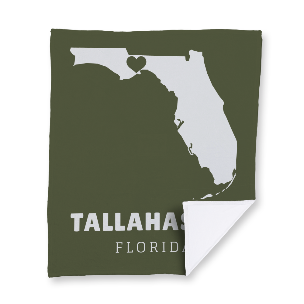 state-vector-heart-florida-blanket-velvety