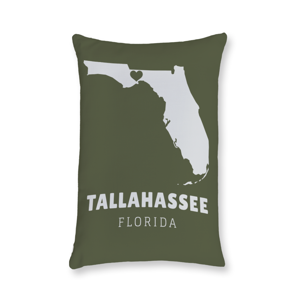 state-vector-heart-florida-throw-pillow