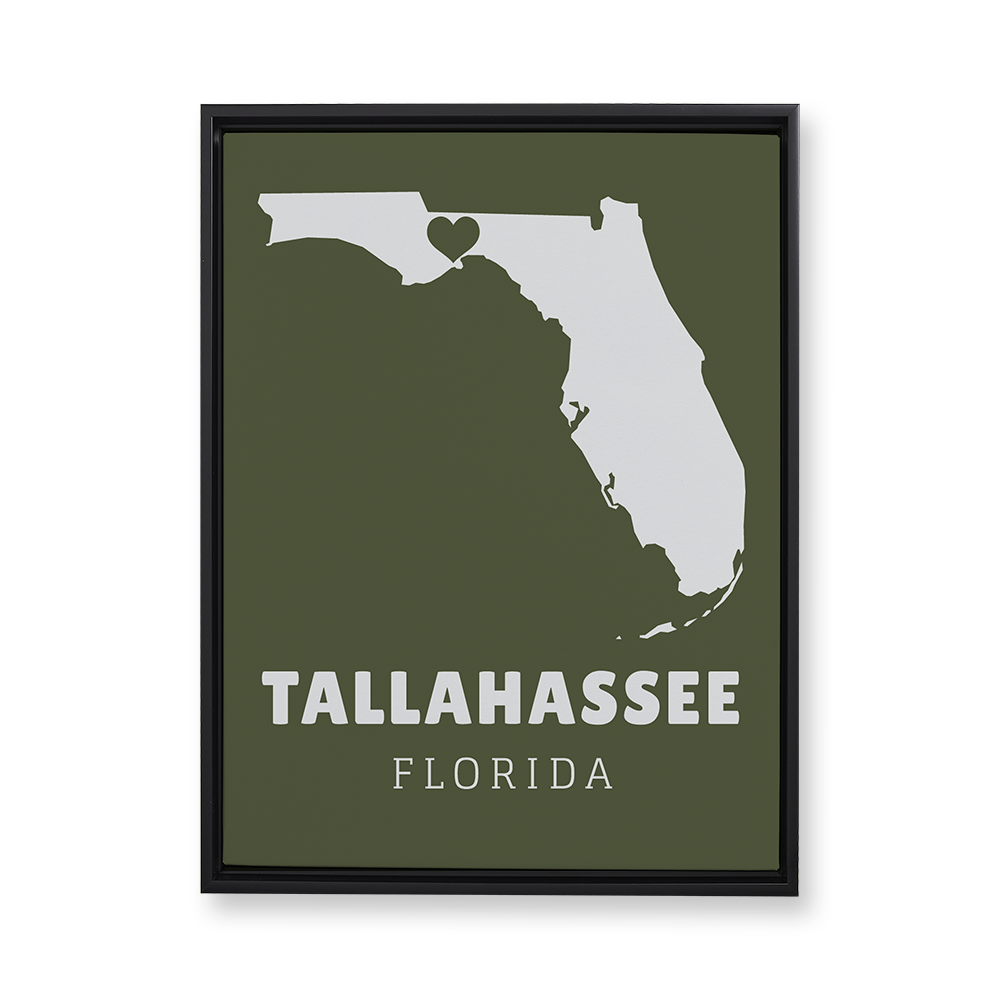 state-vector-heart-florida-floating-canvas-wall-art